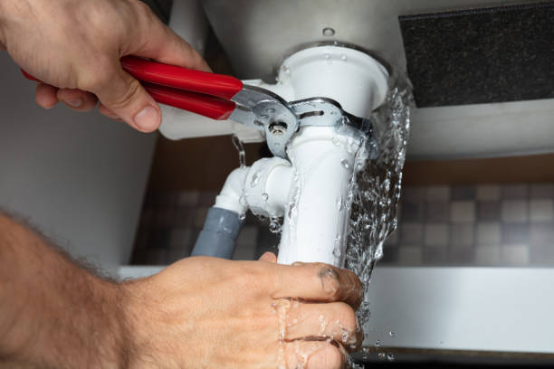  Lester Prairie, MN Water damage restoration Pros