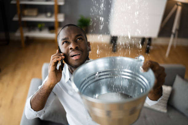 Best Water damage contractors near me  in Lester Prairie, MN