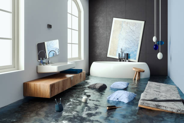 Best Emergency water damage restoration  in Lester Prairie, MN