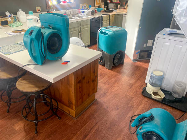Best Water damage restoration near me  in Lester Prairie, MN