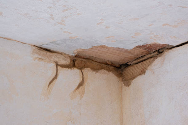 Best 24-hour water damage restoration  in Lester Prairie, MN