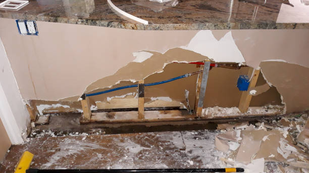 Best Mold removal after water damage  in Lester Prairie, MN