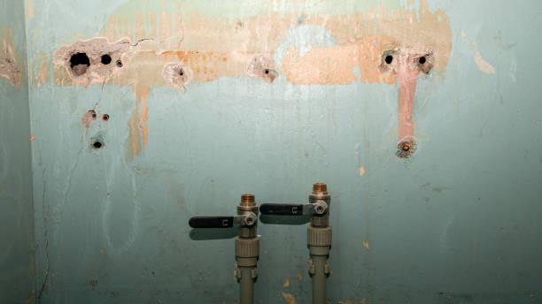 Best Sewage cleanup and water damage restoration  in Lester Prairie, MN