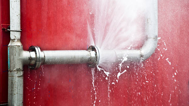 Best Water damage mitigation services  in Lester Prairie, MN