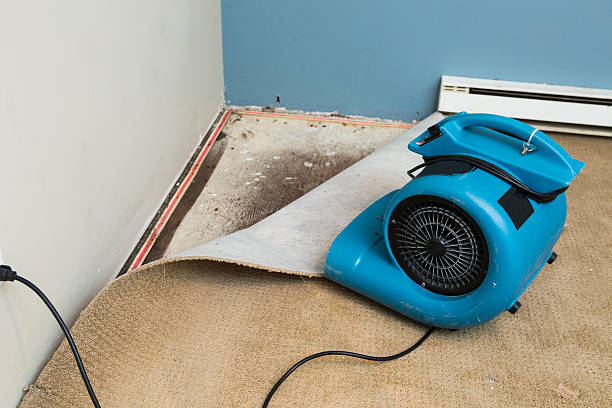 Best 24/7 water damage repair  in Lester Prairie, MN